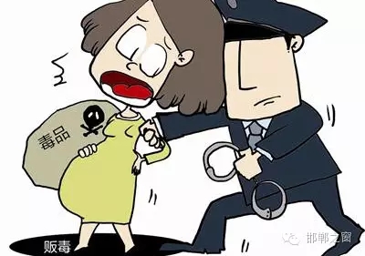 2016年初，涉縣警方查獲一起涉毒案件，鑒于該案涉案人員多、毒品交易量大，涉縣警方立即將案情上報，被公安部確立為“目標-2016-314”號毒品案件。涉縣警方成立專案組，經(jīng)過多方追查，先后抓獲團伙人員13名，繳獲毒品5349克，并查明上線“濮姐”的真實身份為陳某。
